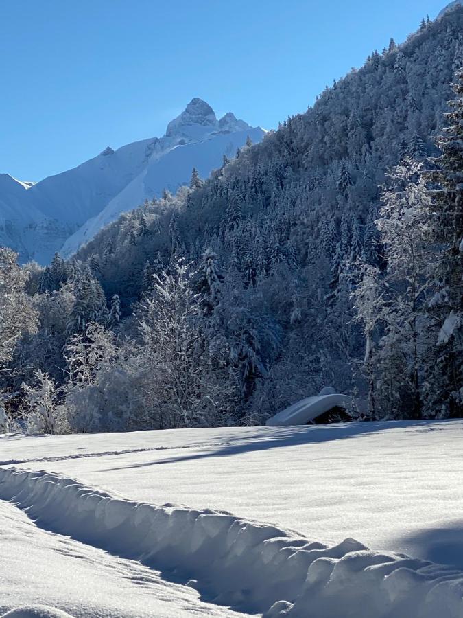Am Plattenbichl - Luxus Mit Privat-pool Und Sauna - Im Sommer Bergbahn Inklusive Apartment *