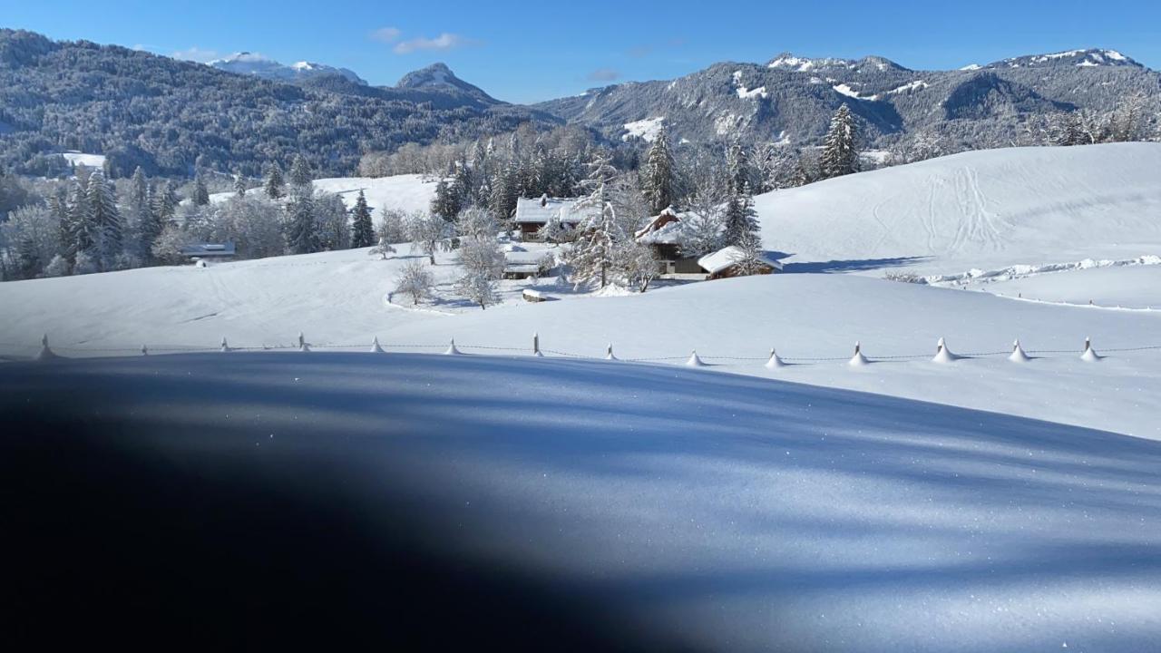Am Plattenbichl - Luxus Mit Privat-pool Und Sauna Apartment Oberstdorf