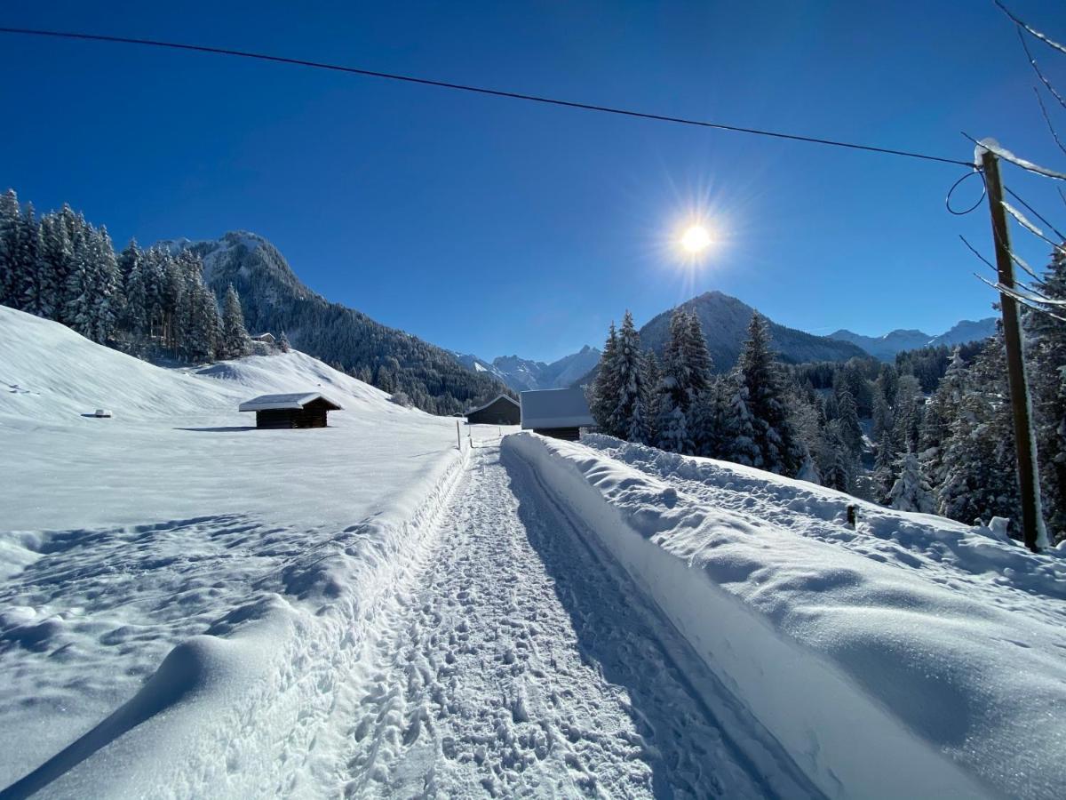 Am Plattenbichl - Luxus Mit Privat-pool Und Sauna Oberstdorf